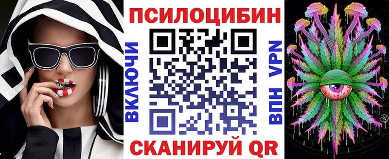 omg ссылки  Тогучин  Псилоцибиновые грибы прущие грибы 